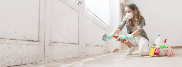 Best Black Mold Removal  in Fort Wayne, IN